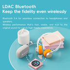 FiiO SNOWSKY DISC ポータブル ハイファイ音楽プレーヤー