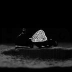 Binary Acoustics 1900 10mm DD＋6mmパッシブラジエーター＋4BA ハイブリッドIEM
