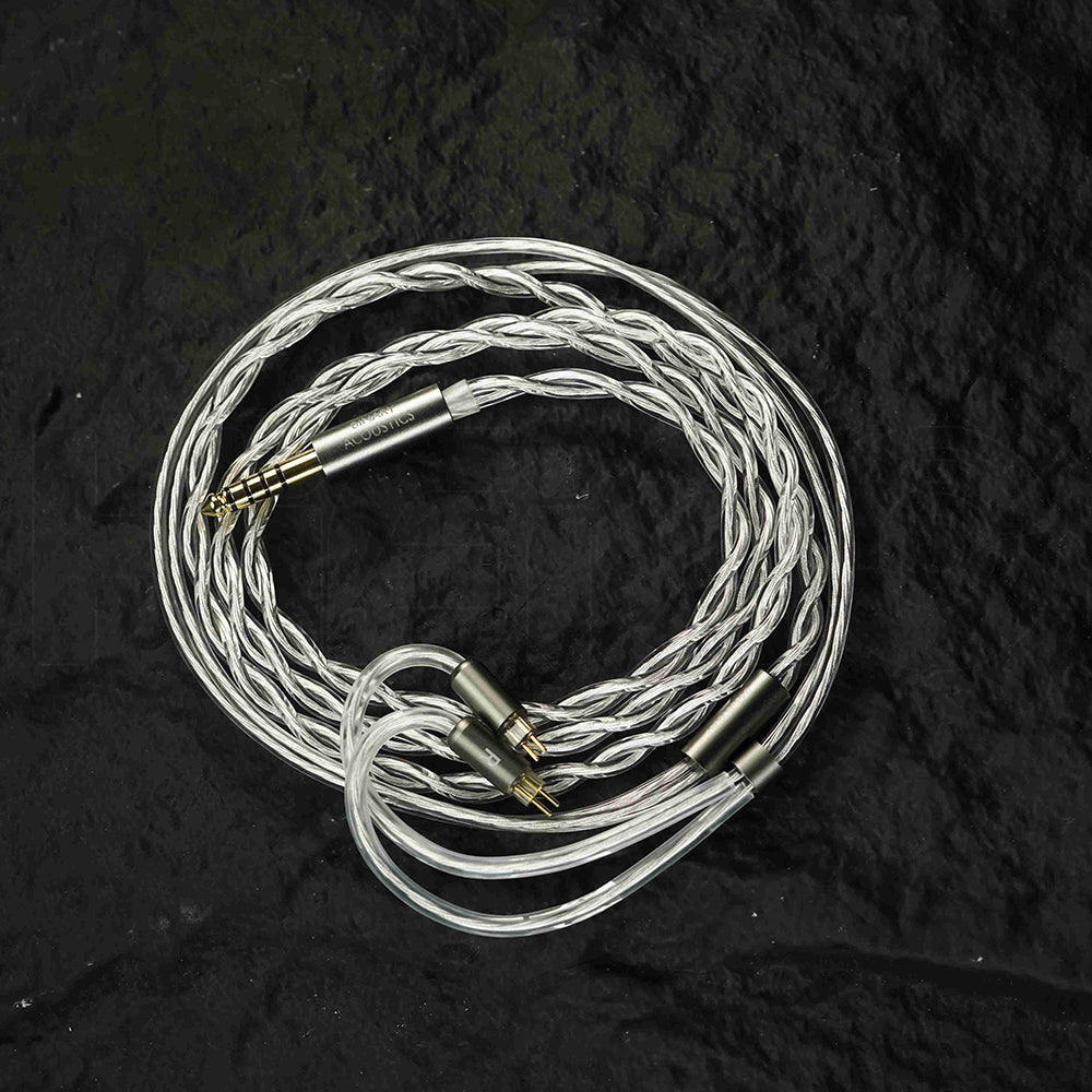 Binary Acoustics 1900 10mm DD＋6mmパッシブラジエーター＋4BA ハイブリッドIEM