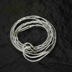 Binary Acoustics 1900 10mm DD＋6mmパッシブラジエーター＋4BA ハイブリッドIEM