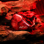 AFUL DAWN-X 1DD+8BA+4EST+1BCドライバーIEM