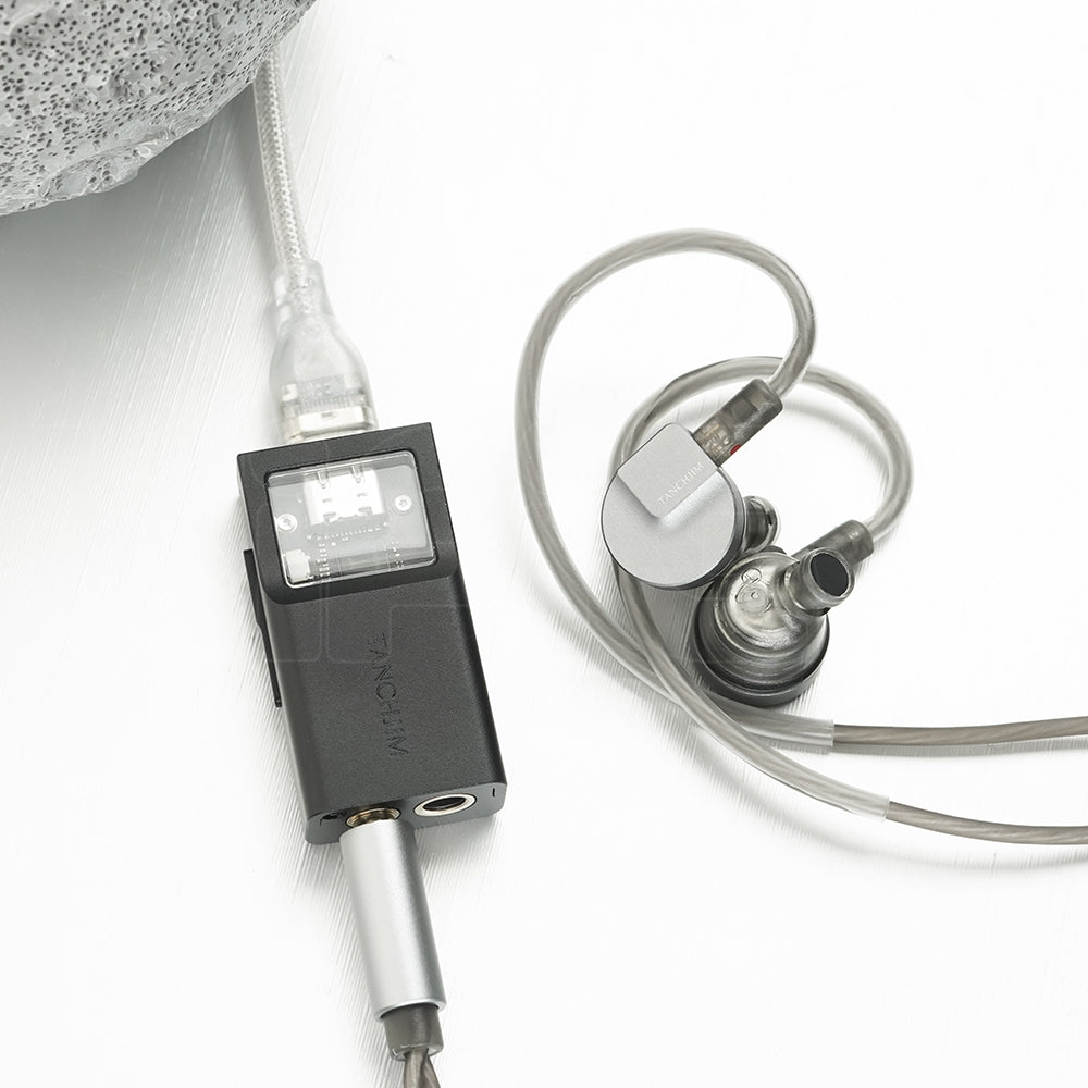 Tanchjim OLA II（OLA 2）10mm DMT5 DD＋Pure Hi BA ハイブリッドIEM