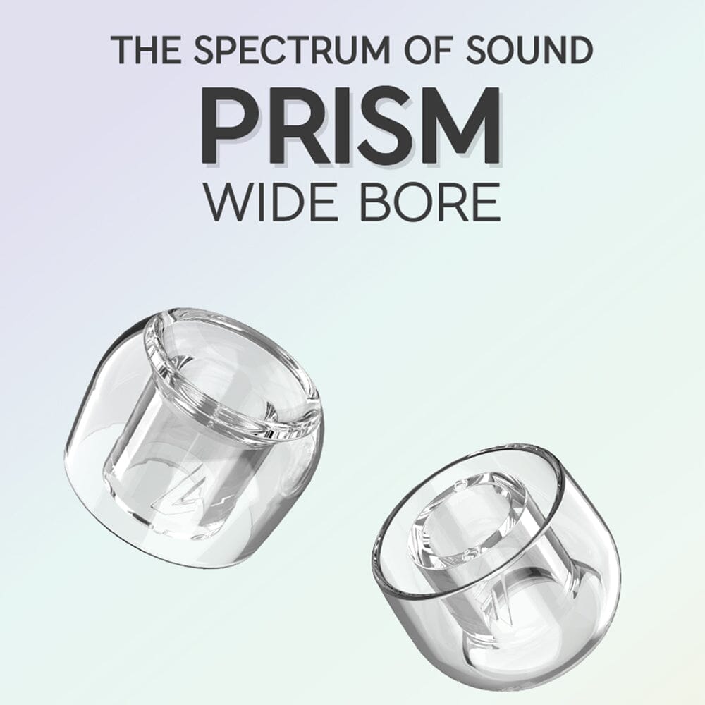 Divinus PRISM Wide Bore LSRイヤーピース（ノズル径4-6mm対応）